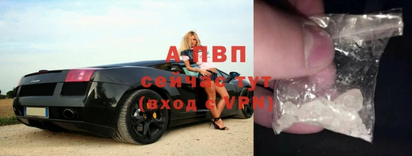 гашик Абаза