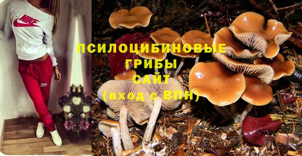 таблы Абинск