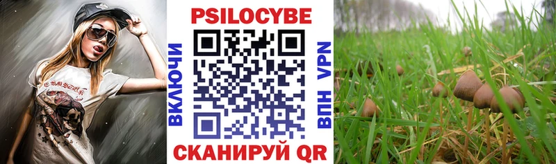 Галлюциногенные грибы GOLDEN TEACHER  даркнет состав  Усолье-Сибирское 
